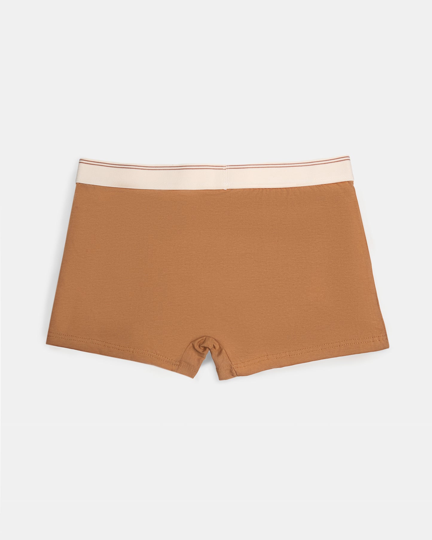 Nutsup Boxer Brief PACK 3 marrón